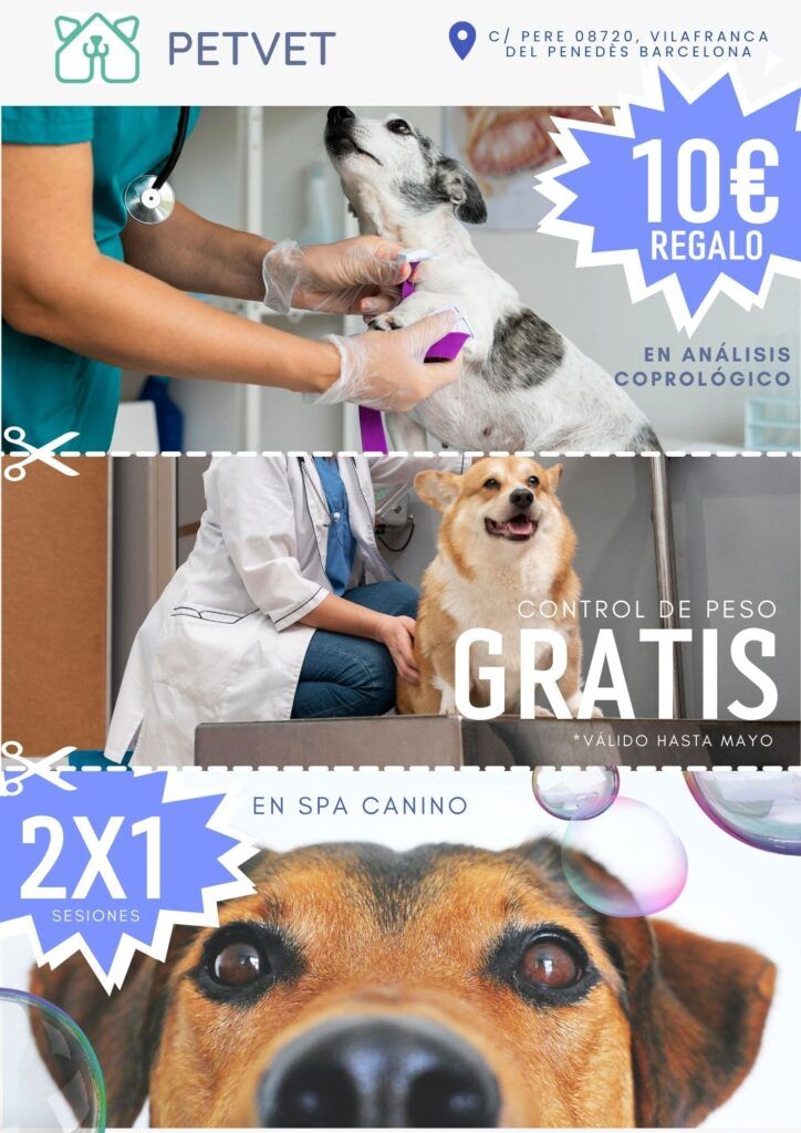 Flyer efectivo de venta con cupones de descuento para ganar clientes en veterinaria