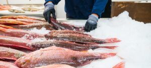 ¿Estas interesado en aumentar las ventas de tu pescadería Pues aquí te cuento la mejor estrategia