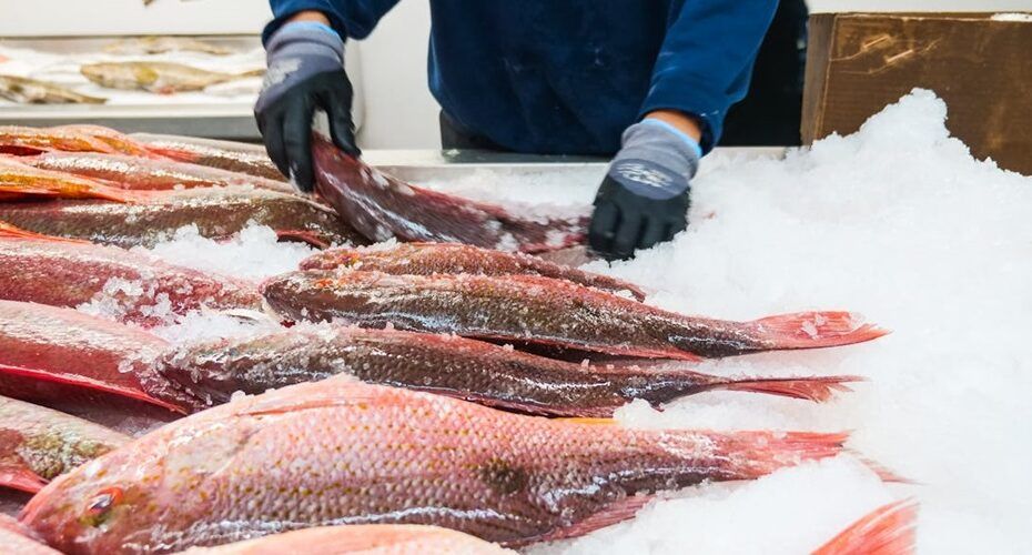 ¿Estas interesado en aumentar las ventas de tu pescadería Pues aquí te cuento la mejor estrategia